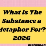 What Is “The Substance a Metaphor For? 2026